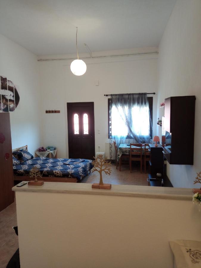Tzoumerka Panorama Pramanta Exteriér fotografie
